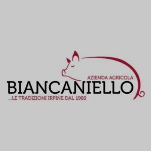 logo biancaniello